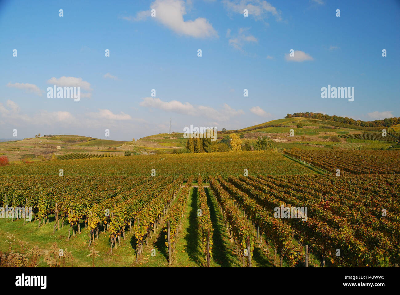 Burg oberrotweil Fotos und Bildmaterial in hoher Auflösung Alamy