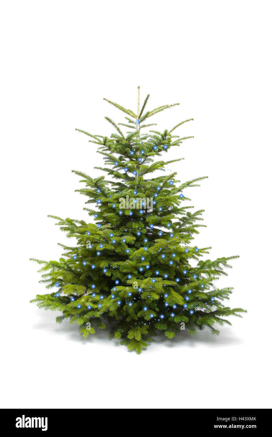 Weihnachtsbaum, LED-Kerze-beleuchtete Rallye, blau, Glanz, Textfreiraum, Stockfoto