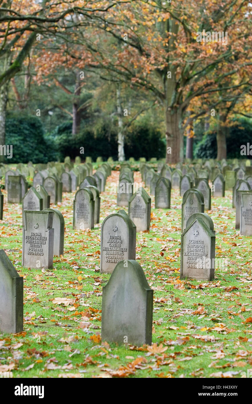 Soldaten-Friedhof, Grabsteine, Friedhof, Friedhof, Krieg, Gräber, Soldaten, Symbol, Trauer, Tod, Abschied, viele, Reihen von Gräbern, Zeilen, Inschrift, Begleiter, Stein, tot, Herbst, Herbst Laub, Stockfoto