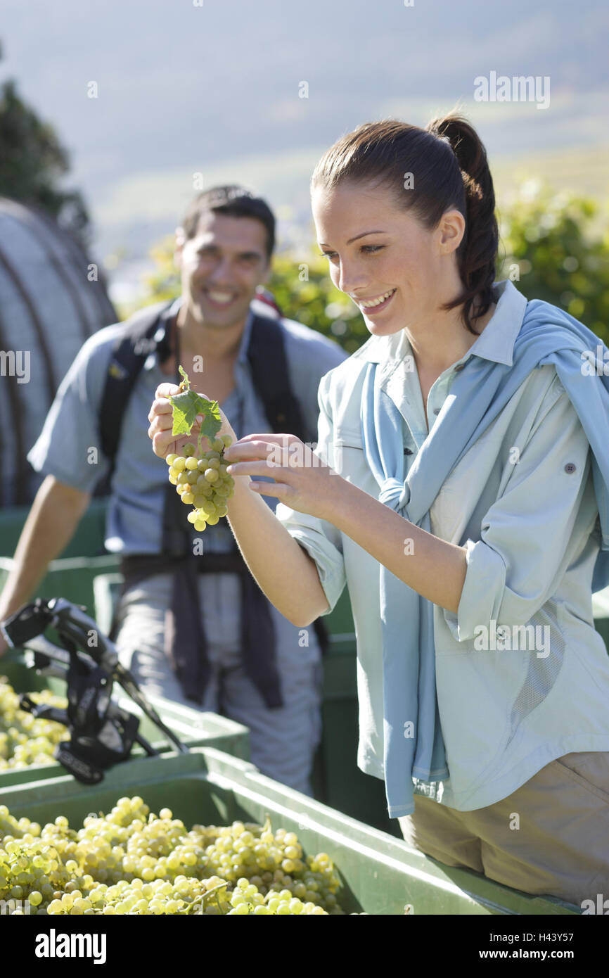 Paar, jung, Weinberg, zu Fuß, Vintage, Geschmack, Brixen, Südtirol, Italien, Stockfoto