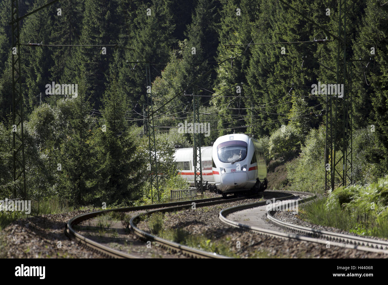 Schnellzug, ICE, Spuren, Wicklung, keine Eigenschaft release, Redaktion verwenden ausschließlich, ICE T, kippen, Zug, Zug, Architektur, Schienenverkehr, Zugfahrt, Transport, Verkehr, Eisenbahn, Verkehr, Schienenverkehr, Reisen, Natur, Wald, Kurven, ti Stockfoto