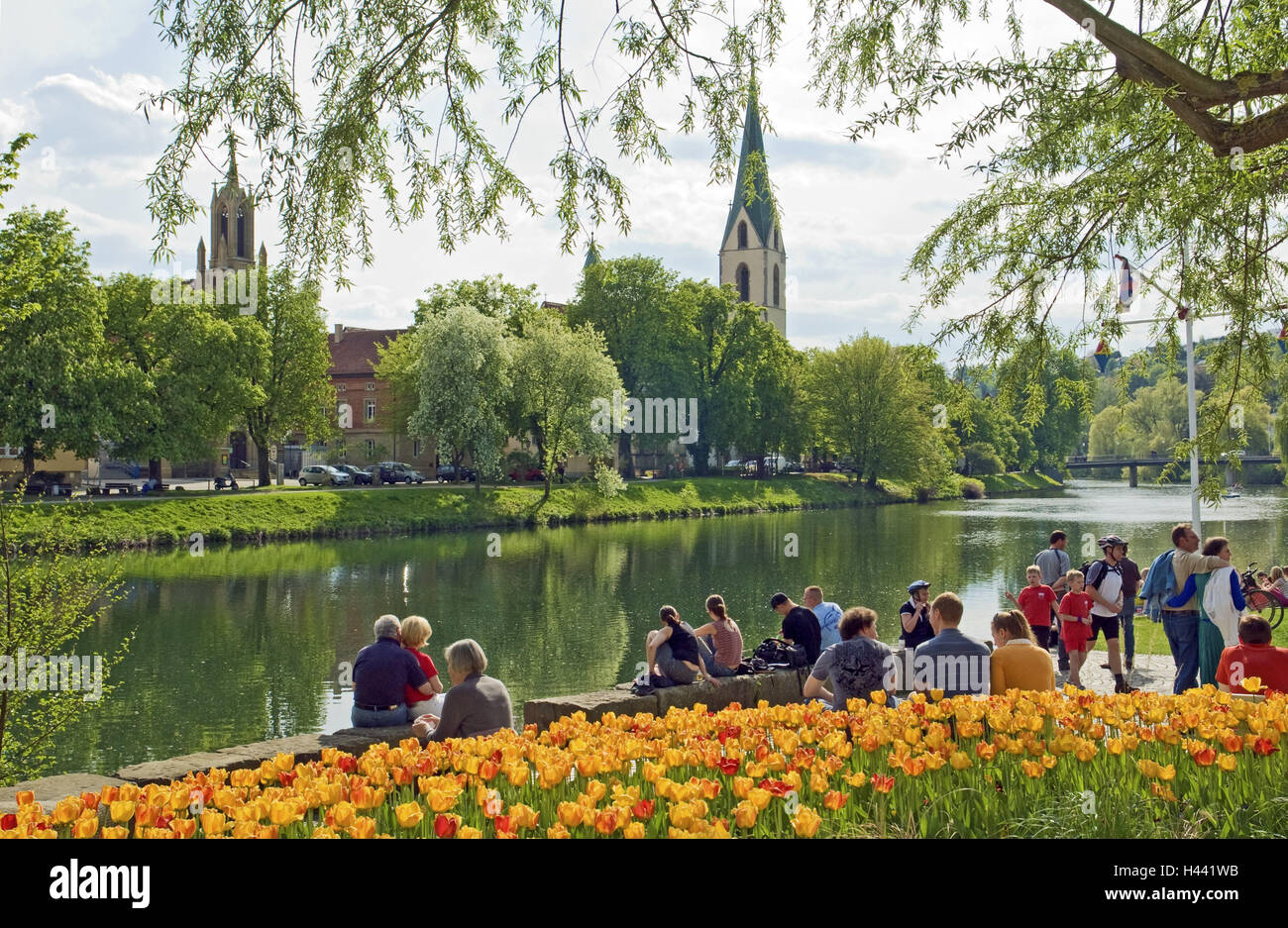 Deutschland, Baden-Wurttemberg, Bande Schloss, Neckar, Tourist, Stiftskirche St. Moriz, Neckartal, Fluss, Frühling, Person, Stiftskirche, Kirche, Kirche, Türme, Blumen, Tulpen, Blüte, gelb, Tourismus, Sonnenschein, Stockfoto