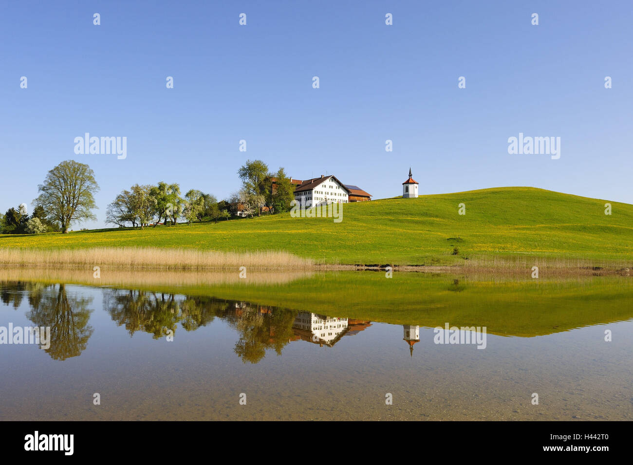 Deutschland, Bayern, Ost Allgäu, Hegratsrieder See mit Halblech, Stockfoto