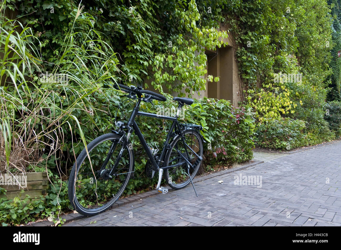 Fahrrad in dieser, Lane Trentel, Essen, North Rhine-Westphalia, Germany, Stockfoto