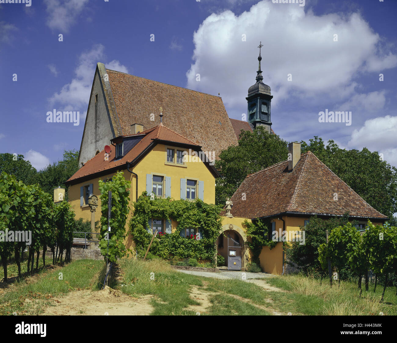 Deutschland, Bayern, Franken, Wallfahrtskirche "Maria im Weinberg", Volkach, Unterfranken, Bau, Kirche, späten gotischen Turm, Haus, Wallfahrt, in der Nähe platzieren Wallfahrt, Ort von Interesse, Reben, Weingut, Sommer, draußen, Stockfoto