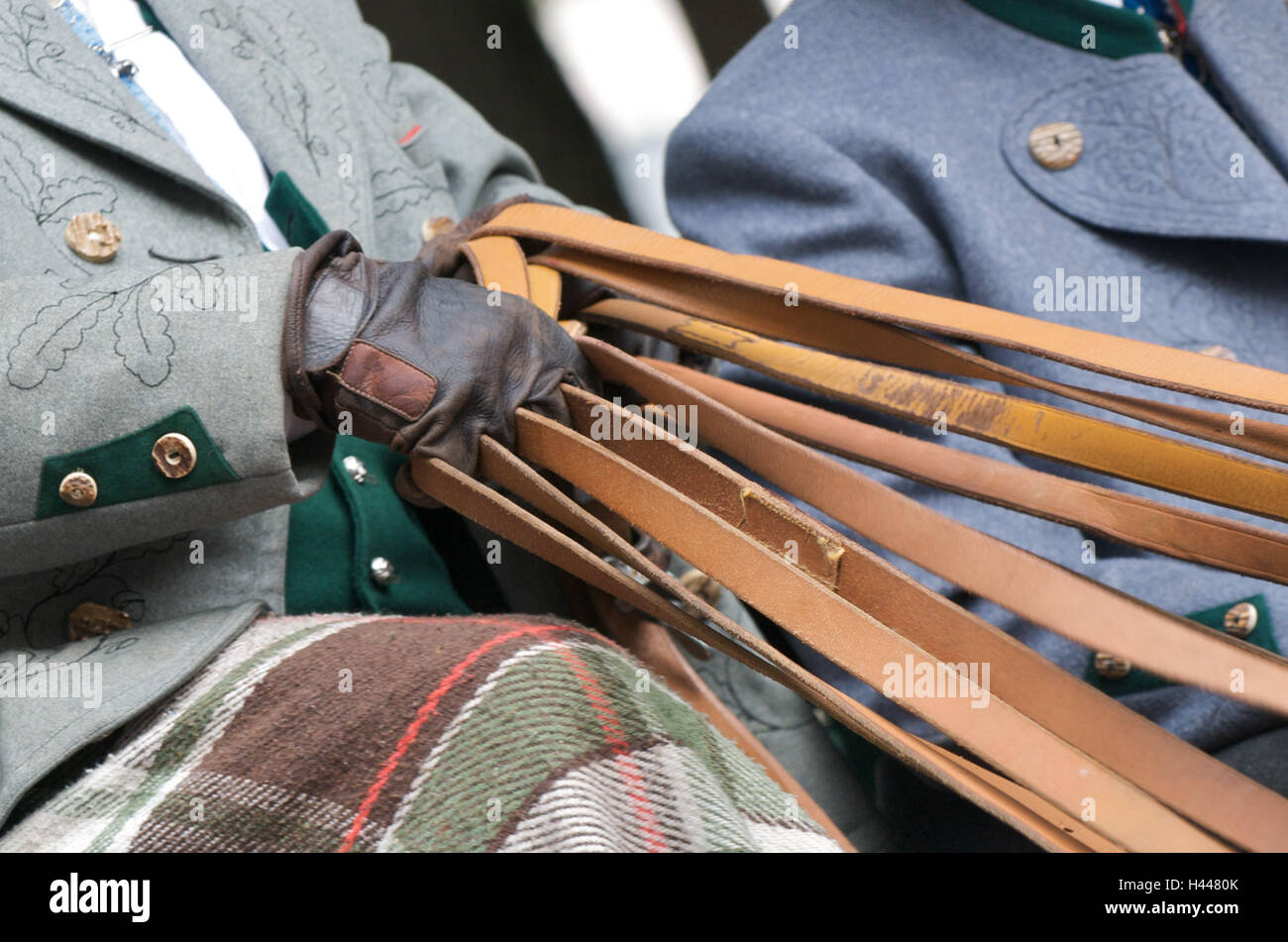 Kutscher, Hände, Zügel, Wagen und sechs, Nahaufnahme, Detail, Stockfoto