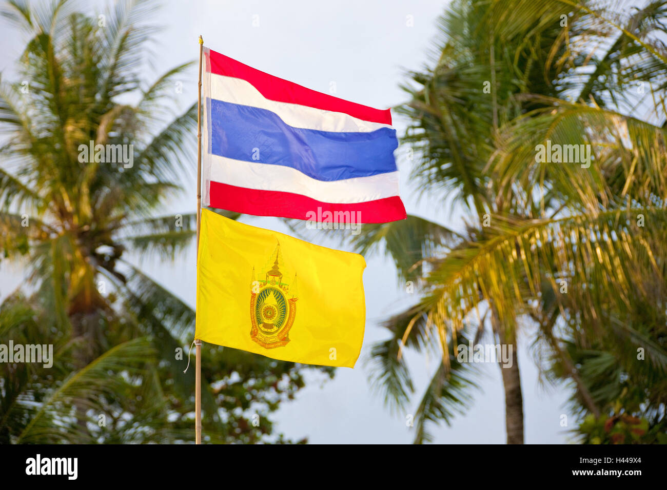 Thailand, Insel Phuket, Palmen, Fahnenmast, Flagge, Flagge des Königs, Stockfoto