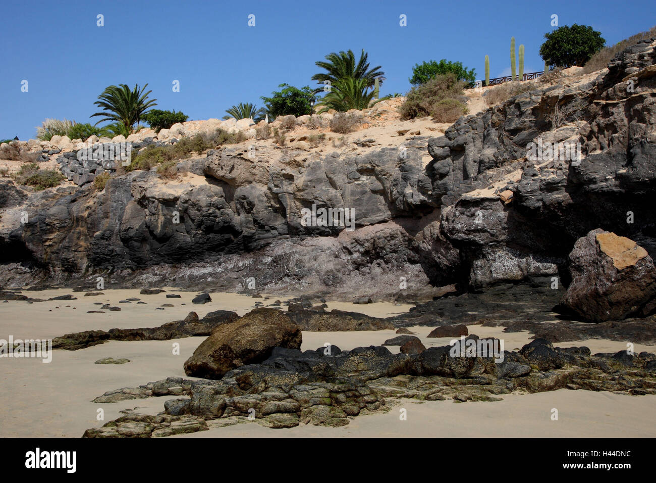 Galle Küste auf Fuerteventura, Costa Calma, Stockfoto