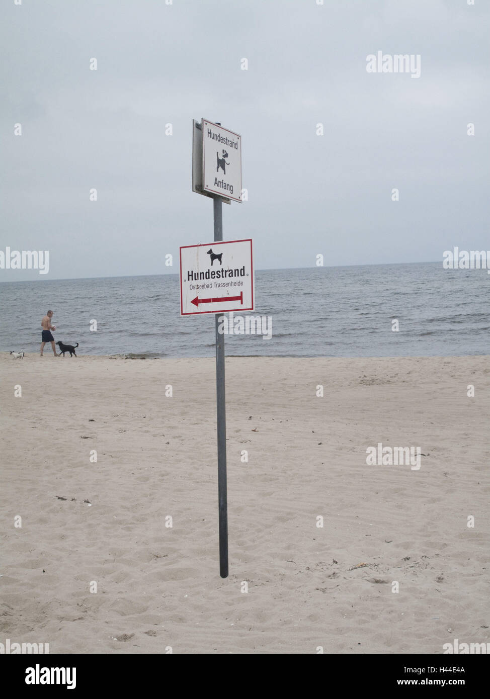 Zeichen, Hundestrand, Sand, Meer, Menschen, Hunde, spielen, Stockfoto