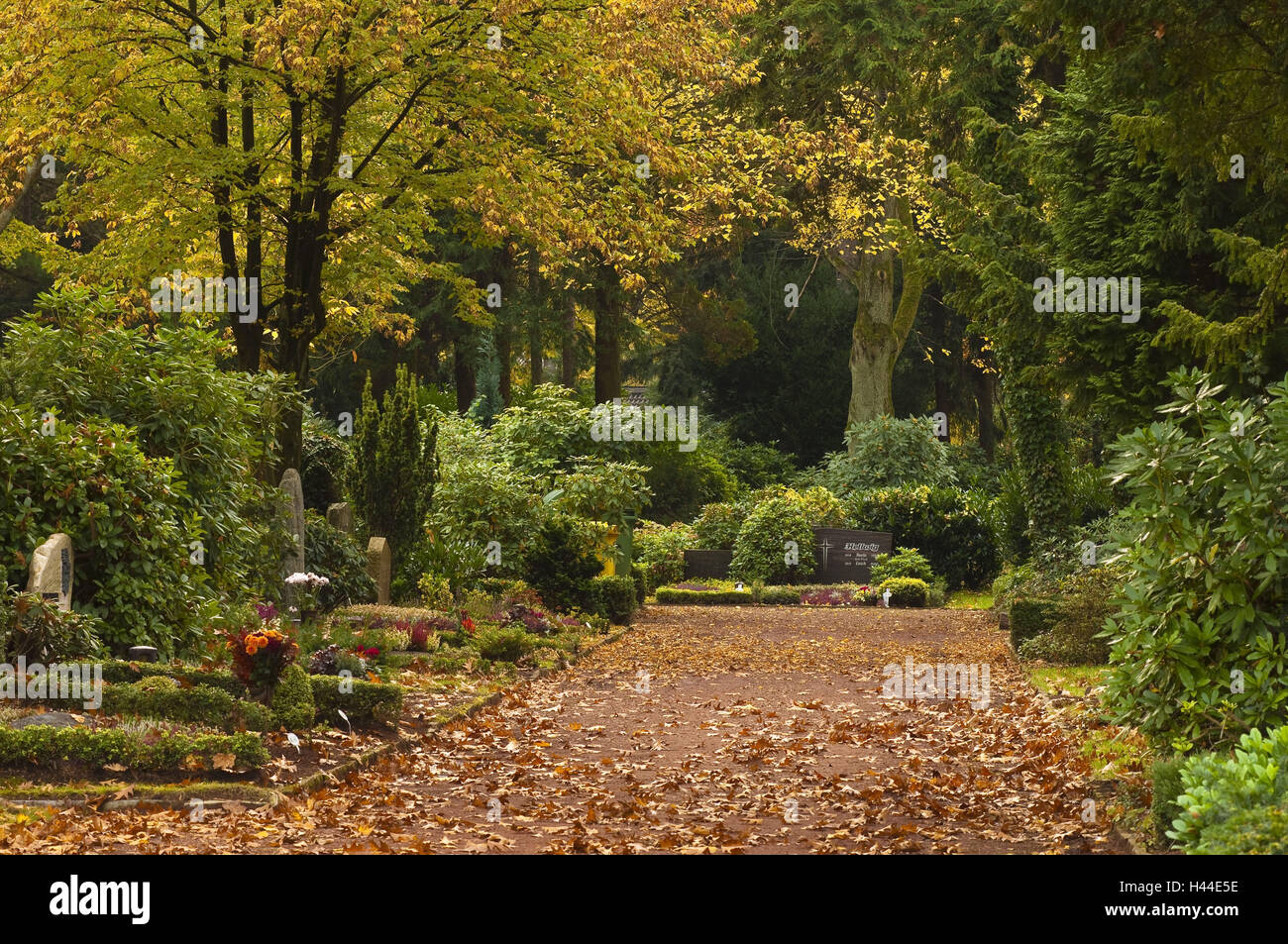 Friedhof Weg in Herbst, Friedhof Bredeney, Essen, North Rhine-Westphalia, Germany, Stockfoto