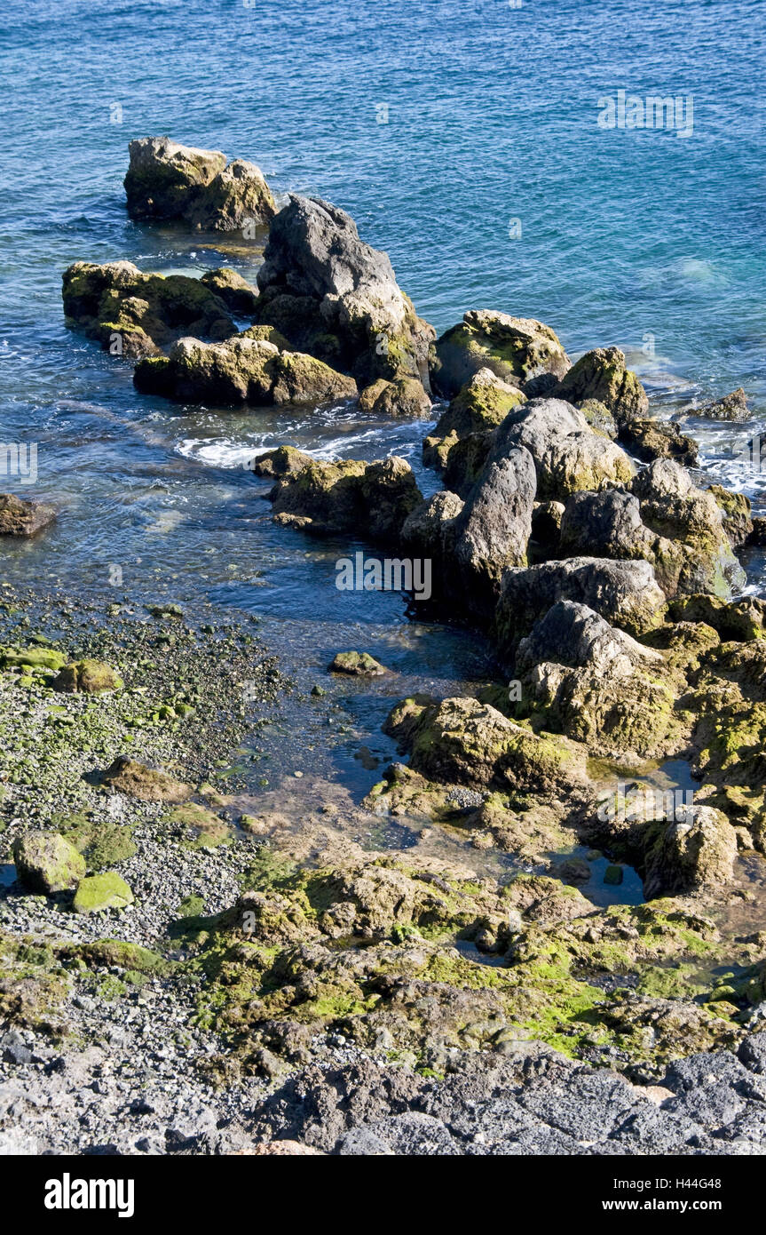 Spanien, Kanarische Inseln, Lanzarote, Puerto del Carmen, Meer, Felsen, Vulkan-Fels, Algen, Stockfoto