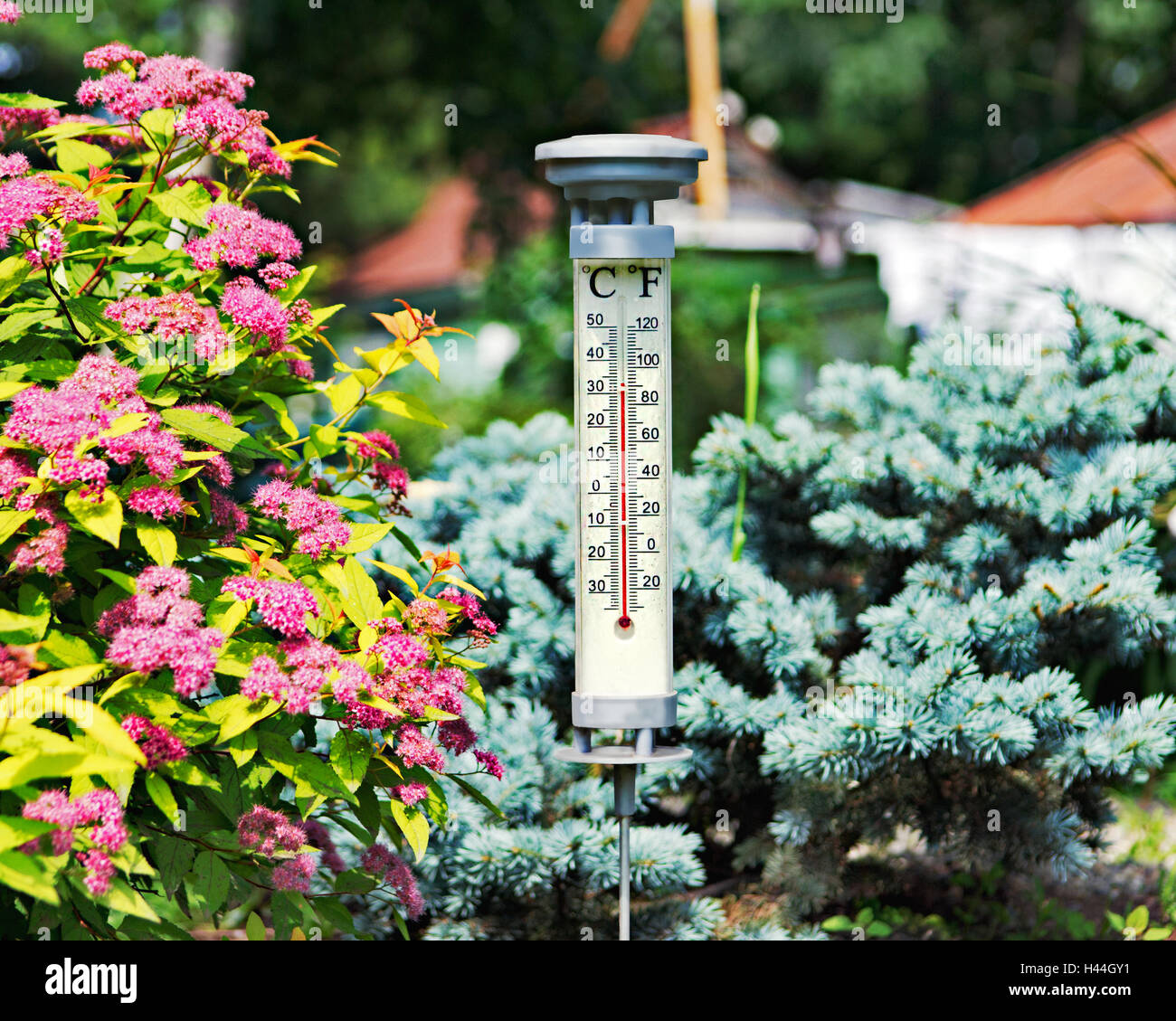 Moderne stilvolle Außenthermometer im Sommergarten. Closeup. Stockfoto