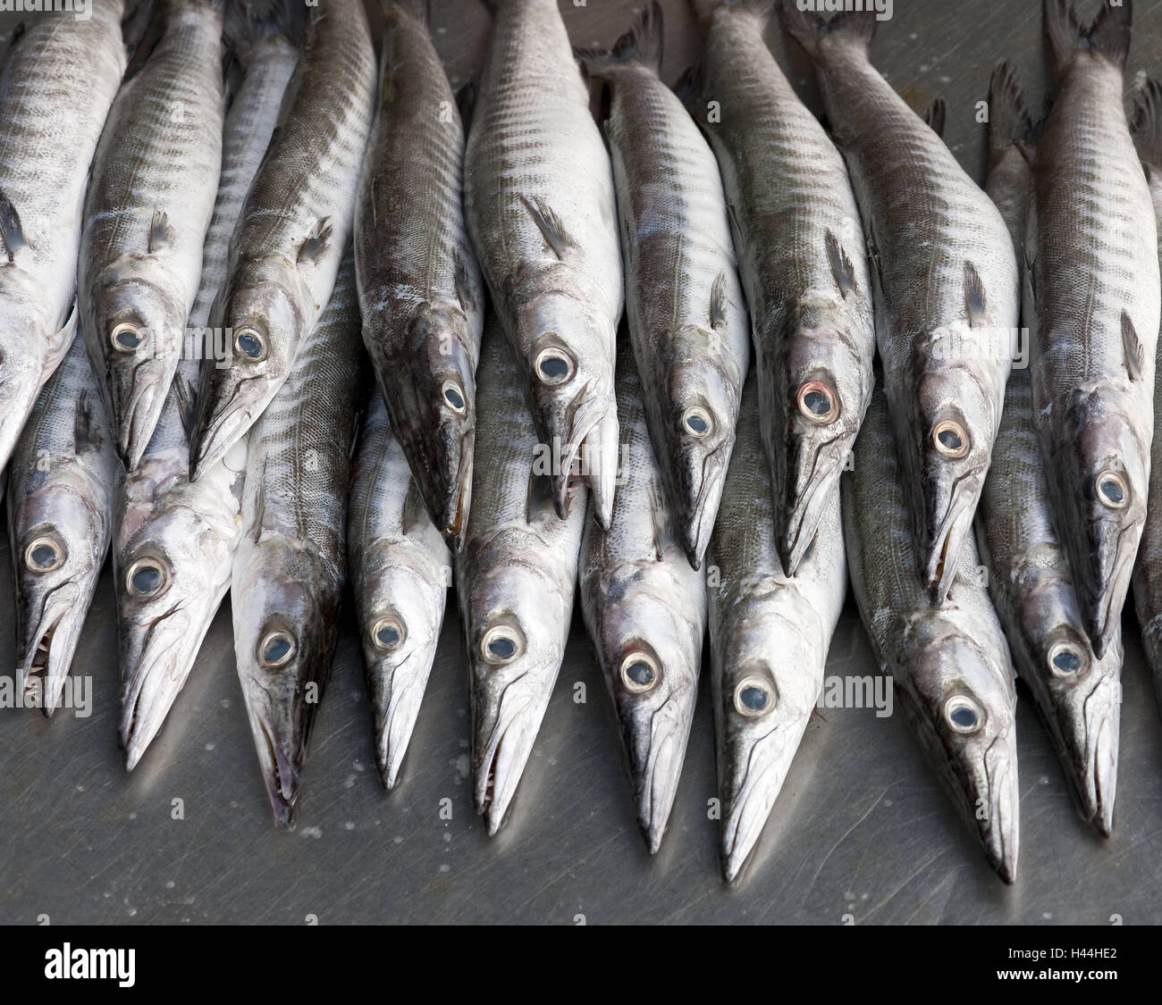 Verkauf von Fisch, Entwicklung der Seezigeuner, Rawai, Phuket Stockfoto