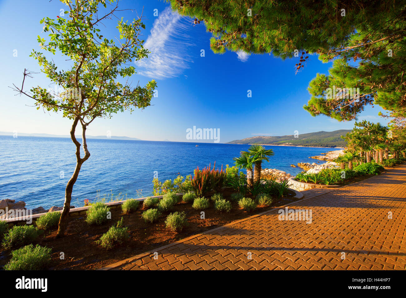 Erstaunlich, Felsiger Strand mit christall sauberes Meerwasser mit Pinien Bäumen n der Küste des Adriatischen Meeres, Istrien, Kroatien Stockfoto