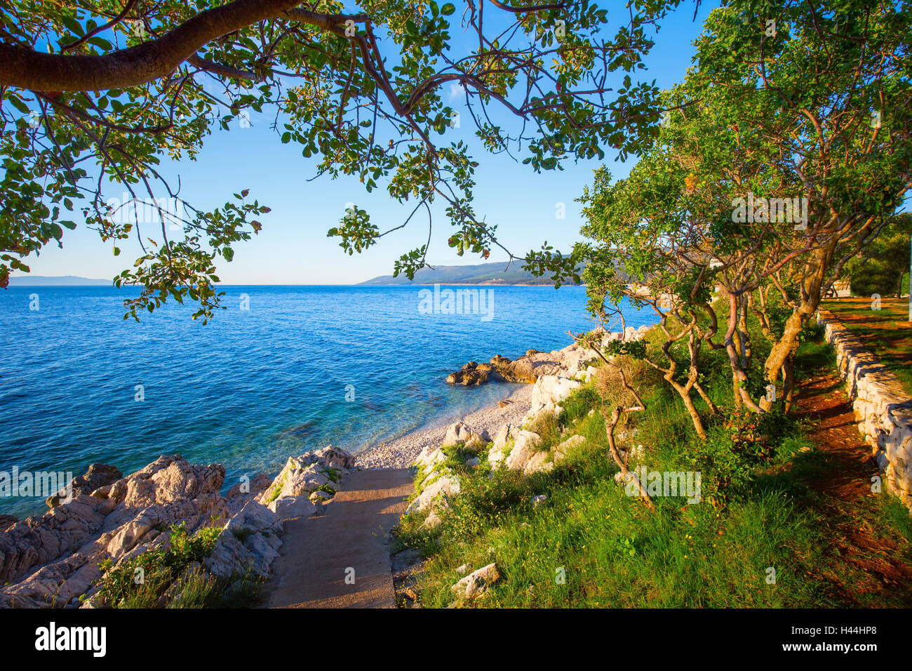 Erstaunliche Felsenstrand mit crystalic sauberes Meerwasser mit Pinien an der Küste der Adria, Istrien, Kroatien Stockfoto