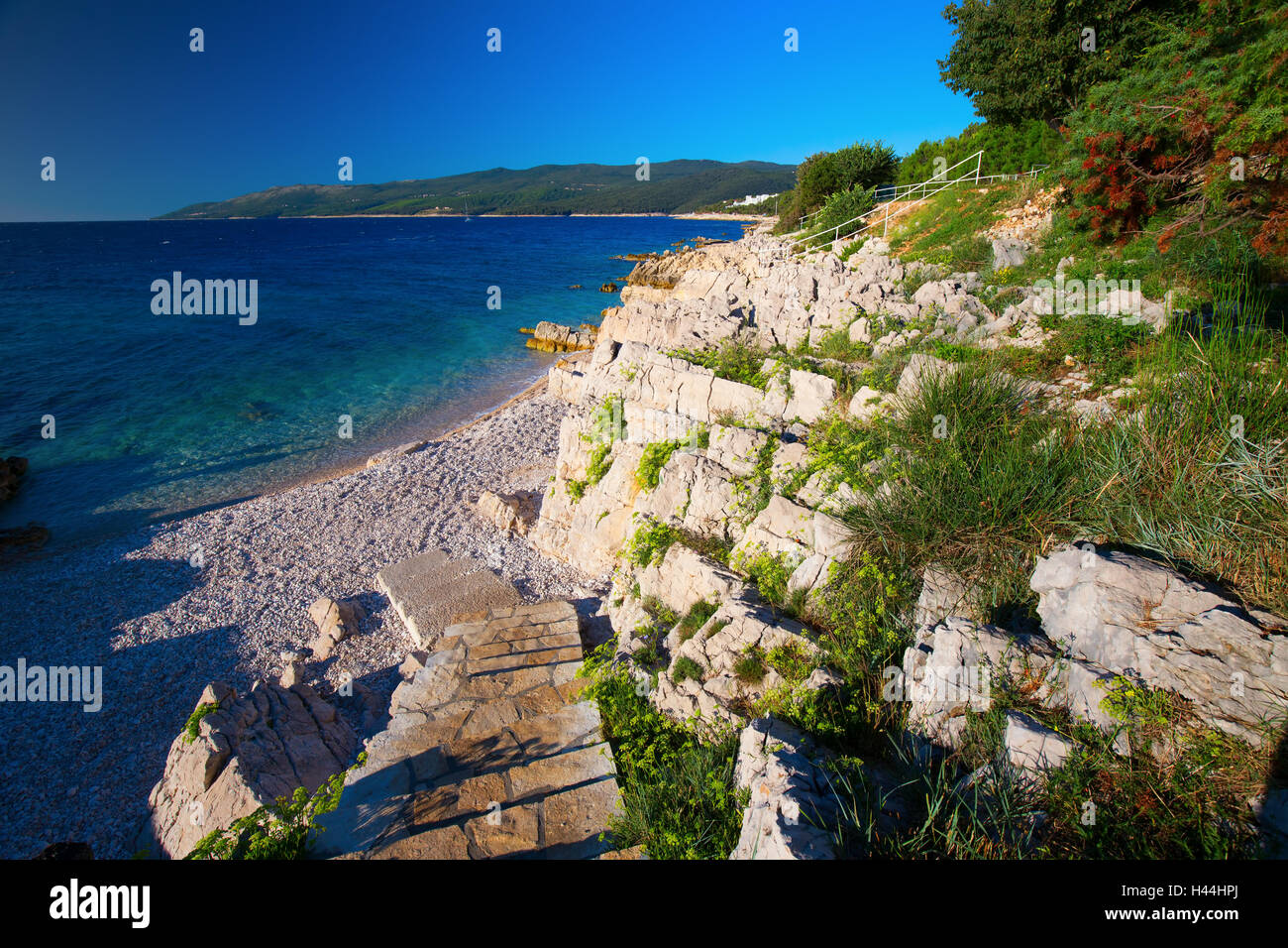 Erstaunliche Felsenstrand mit crystalic sauberes Meerwasser mit Pinien an der Küste der Adria, Istrien, Kroatien Stockfoto