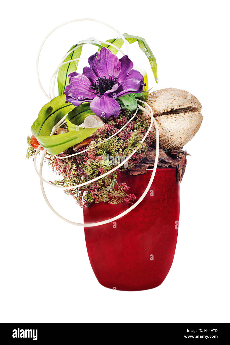 Abstrakte Komposition aus Kokosnuss, Blume, Felsen und Reben Anordnung Herzstück in Vase isoliert auf weißem Hintergrund. Stockfoto