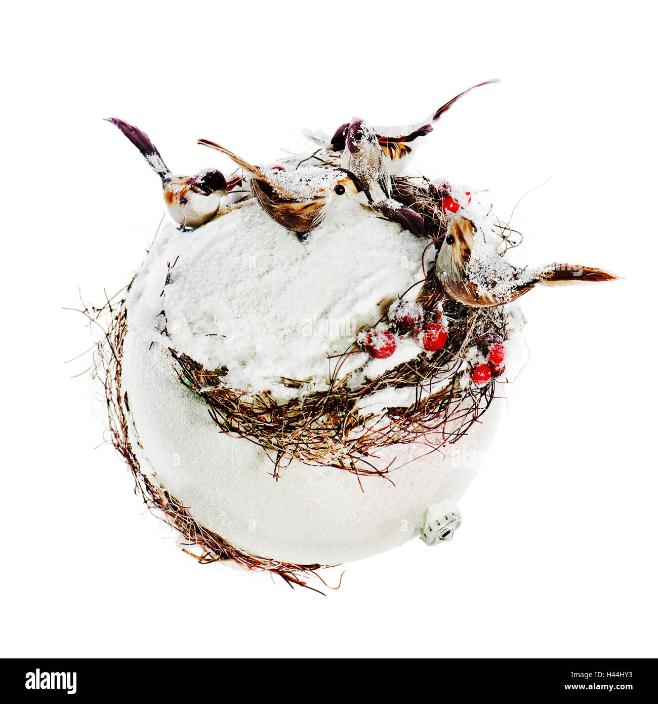 Silvester Zusammensetzung von Vögel, Ebereschen, Schnee und weiße Kugel isoliert auf weißem Hintergrund. Stockfoto