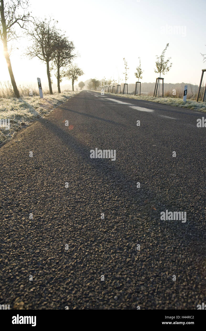 Deutschland, Brandenburg, Landstraße, Sonnenaufgang, Herbst, Landschaft, Straße, Asphalt, Verkehrsweg, Bäume, Laubbäume, morgen-Stimmung, die Morgensonne, Gegenlicht, Ausfahrt, Einsamkeit, Saison, niemand, Perspektive, Stockfoto