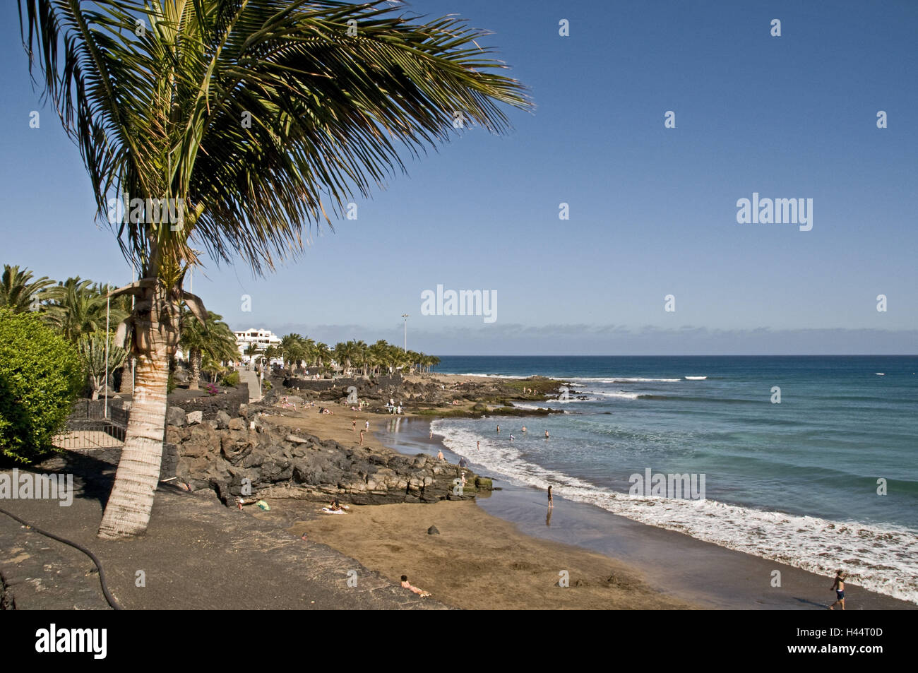 Spanien, Kanarische Inseln, Lanzarote, Puerto del Carmen, den Atlantik, Strand, Playa Grande, Palmen, Stockfoto