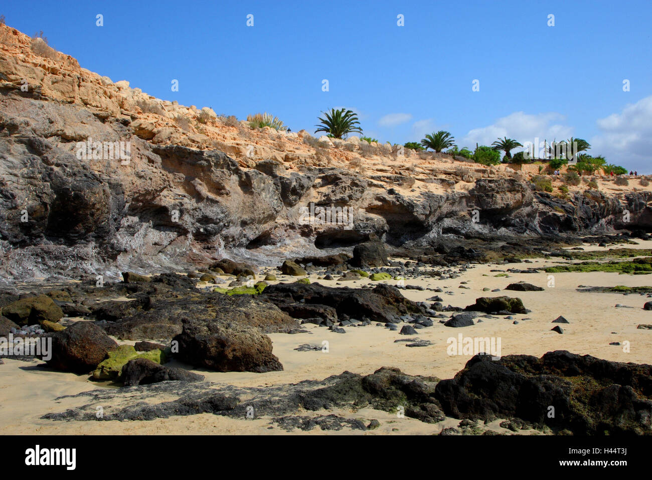 Galle Küste auf Fuerteventura, Costa Calma, Stockfoto