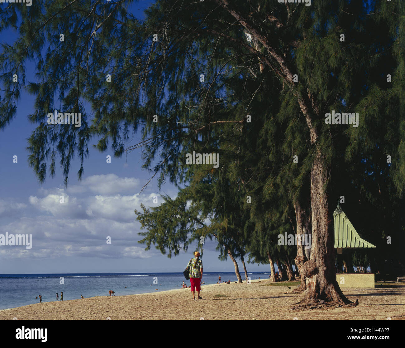 Maskarenen, Insel Mauritius, Westküste, Flic En Flac, Strand, Touristen, Rückansicht, Reiseziel, Urlaub, Tourismus, Pflanzen, Strand, Sandstrand, Bäume, Touristen, Menschen, Stockfoto