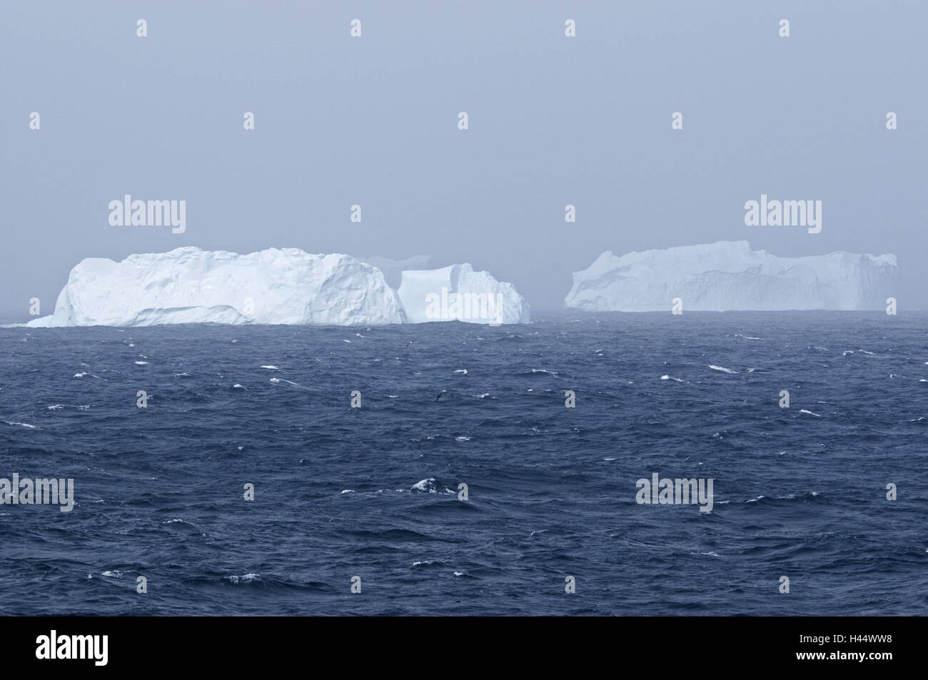 Der Südatlantik, Eisberge, Stockfoto
