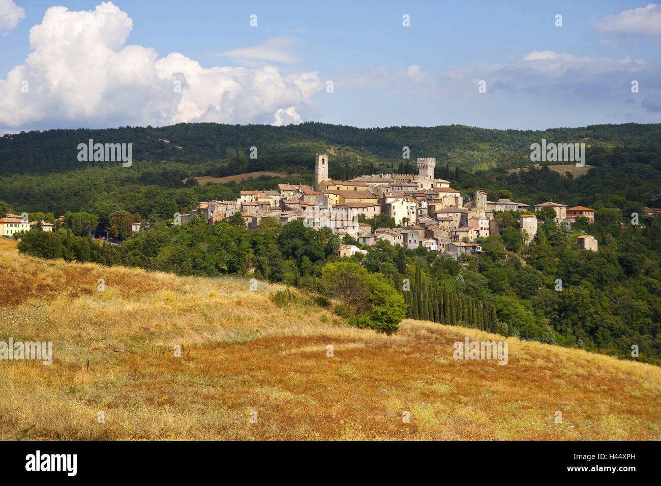 Italien, Toskana, San Casciano dei Bagni, lokale Ansicht, Ort, Ort, Häuser, Türme, Bäume, Holz, Landschaft, Stockfoto