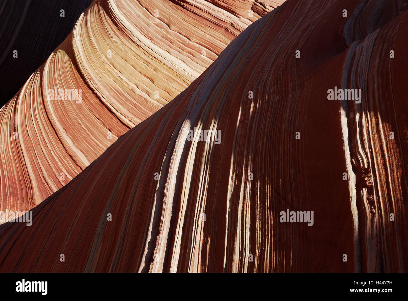 Welle, Detail, USA, Arizona, Utah, Paria Canyon, Vermillion Cliffs Wilderness, Sandstein, Stockfoto