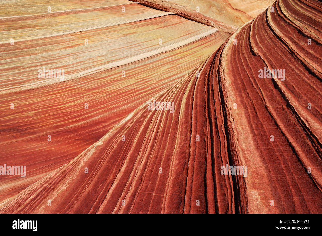 Welle, Detail, USA, Arizona, Utah, Paria Canyon, Vermillion Cliffs Wilderness, Sandstein, Stockfoto
