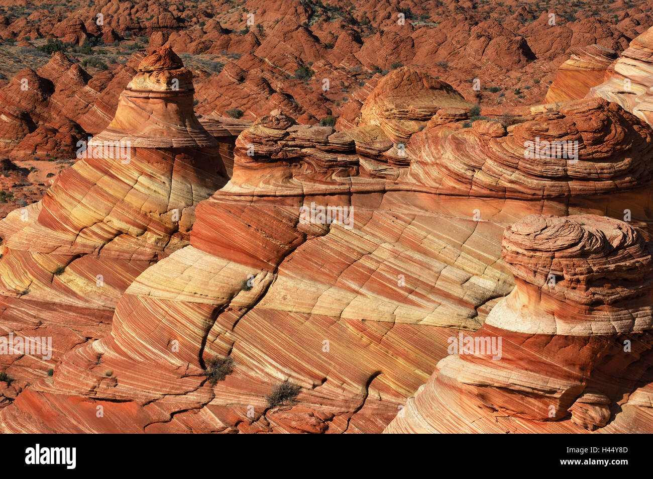 Amerika, USA, Arizona, Utah, Paria Canyon, Coyote Flunder, Vermillion Cliffs Wilderness, Galle Formationen, Stockfoto