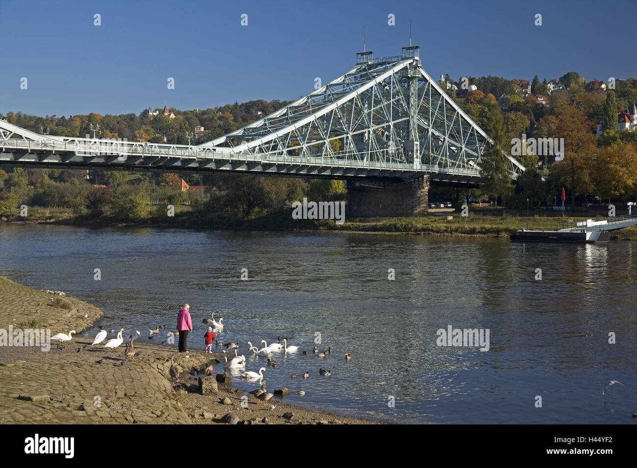 Deutschland, Sachsen, Dresden-Blase Witz, der Elbe, Loschwitzer Brücke, Stockfoto