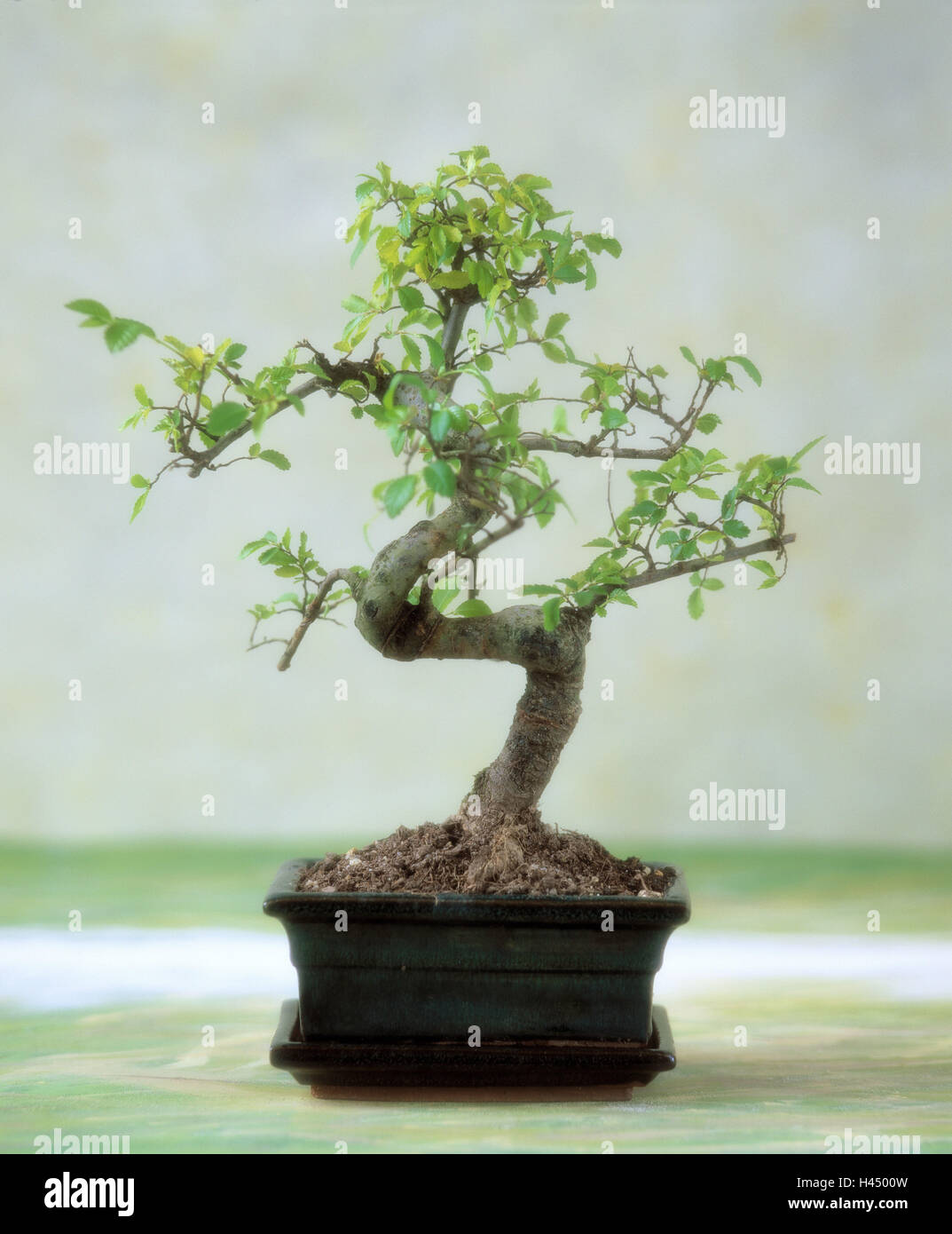 magische led zimmerpflanze 13.5ft Color-Changing Large LED Tree main image 1