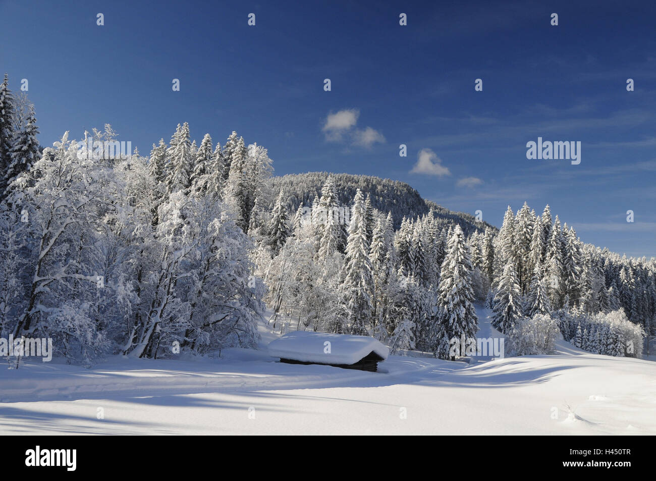 Deutschland, Bayern, Werdenfels, Garmisch-Partenkirchen, Winterlandschaft, Holz, Stockfoto