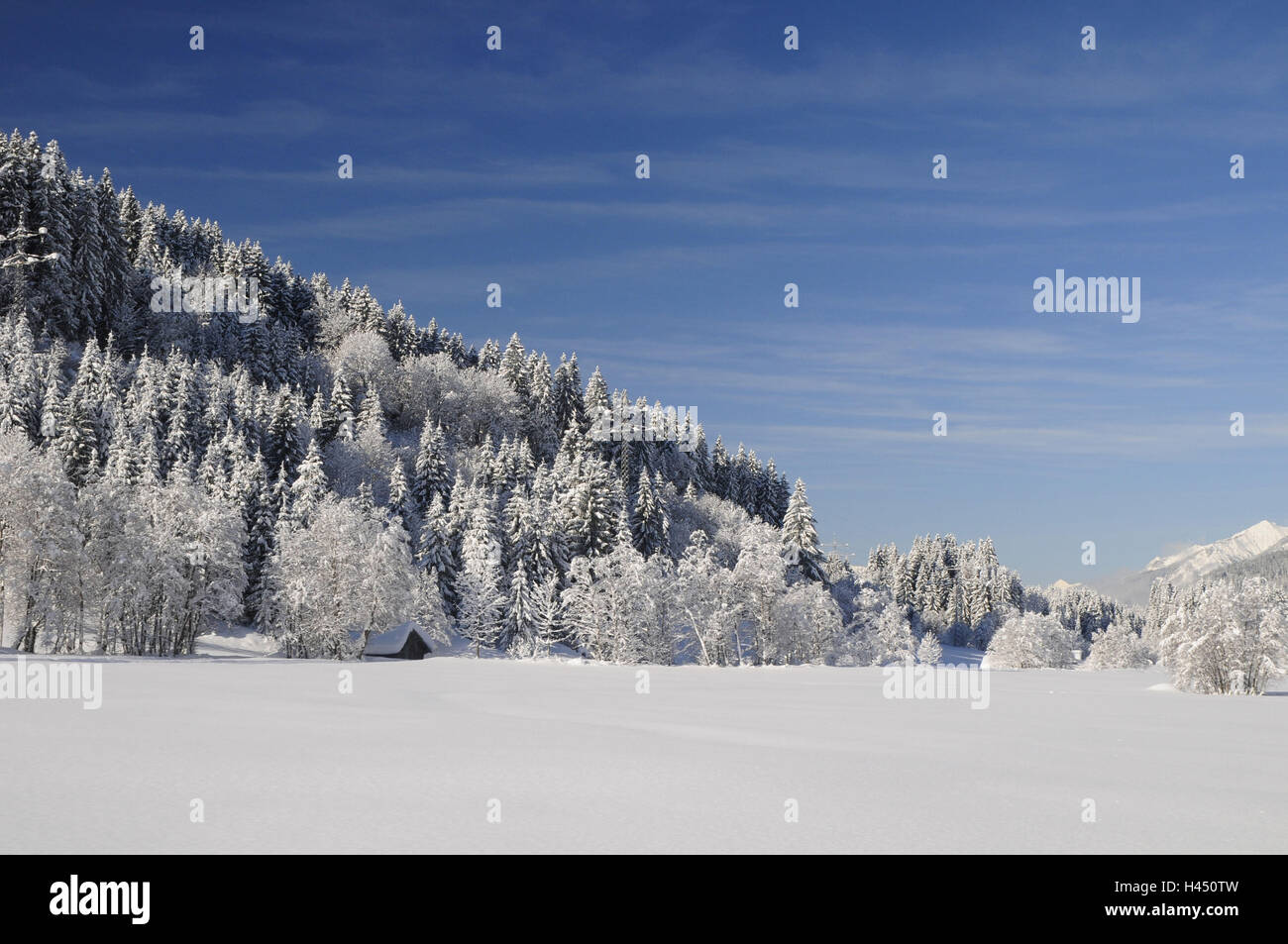Deutschland, Bayern, Werdenfels, Garmisch-Partenkirchen, Winterlandschaft, Holz, Stockfoto