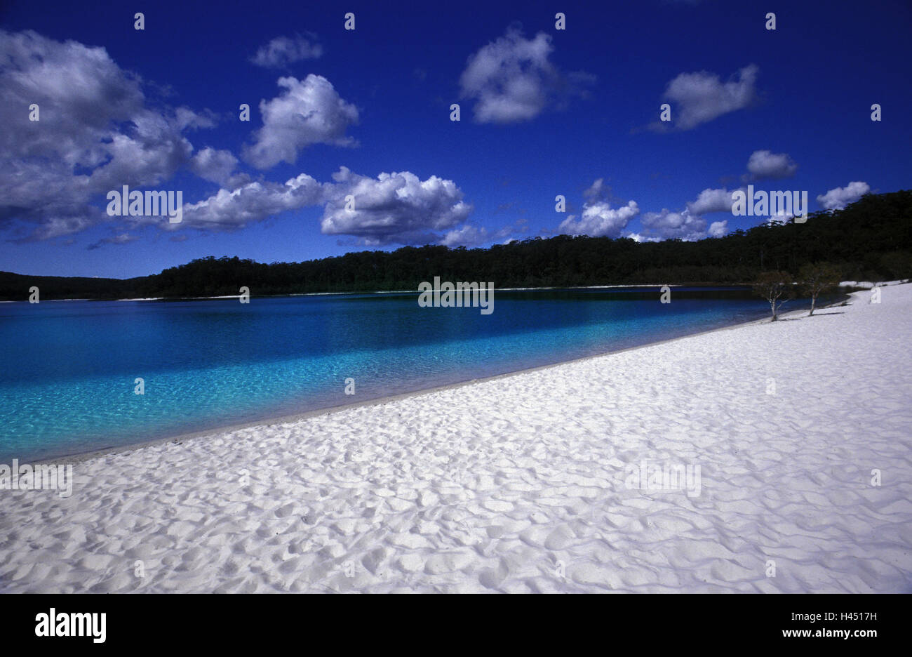 Australien, Fraser Island, Lake McKenzy, Strand, Stockfoto