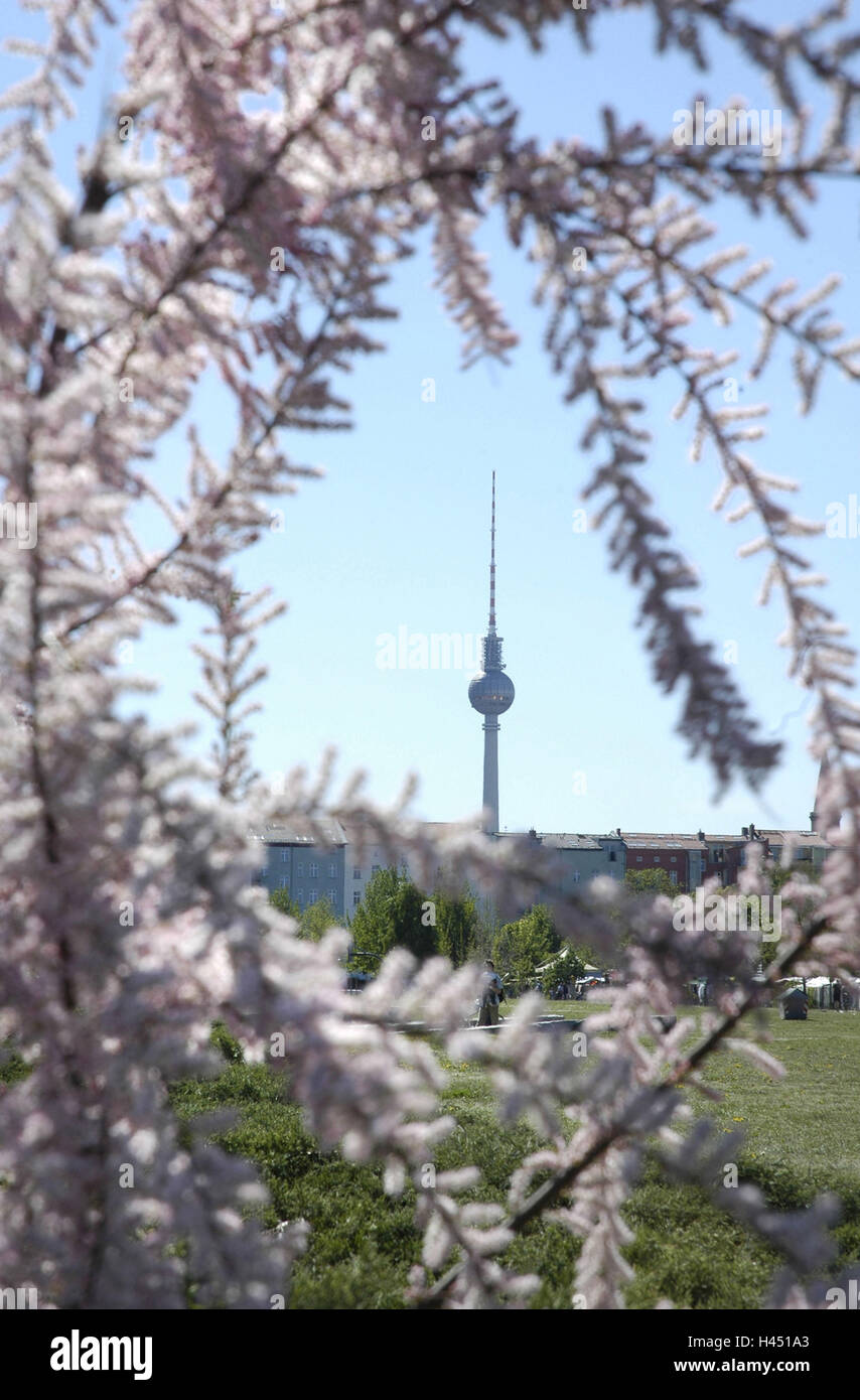 Fernsehturm Berlin, Hauptstadt, Stockfoto
