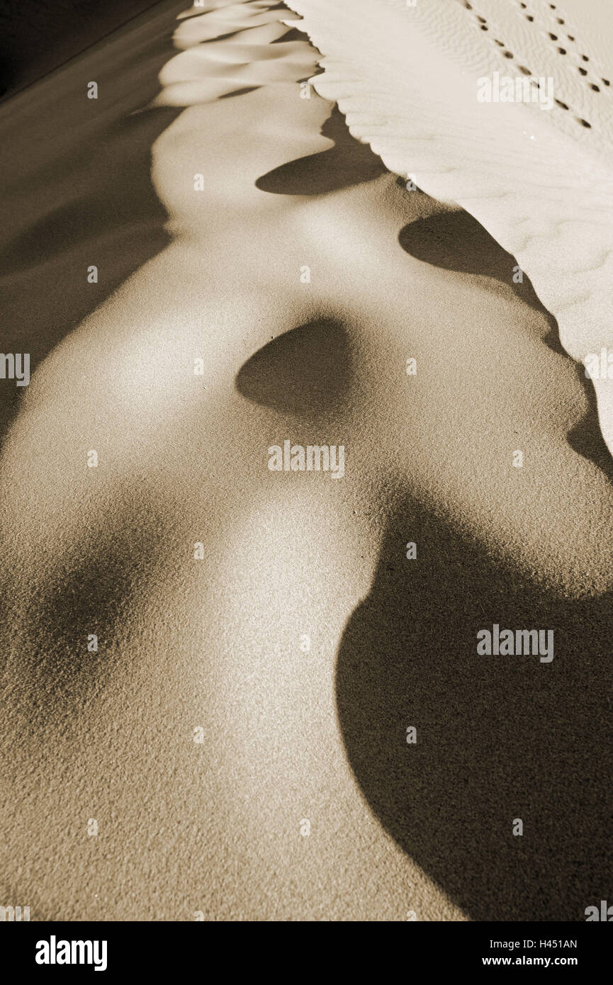 Sanddüne, Licht, Schatten, Stockfoto