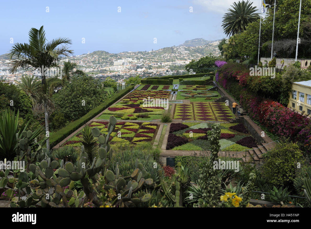 Portugal Insel Madeira, Funchal, Botanischer Garten Stockfotografie Alamy