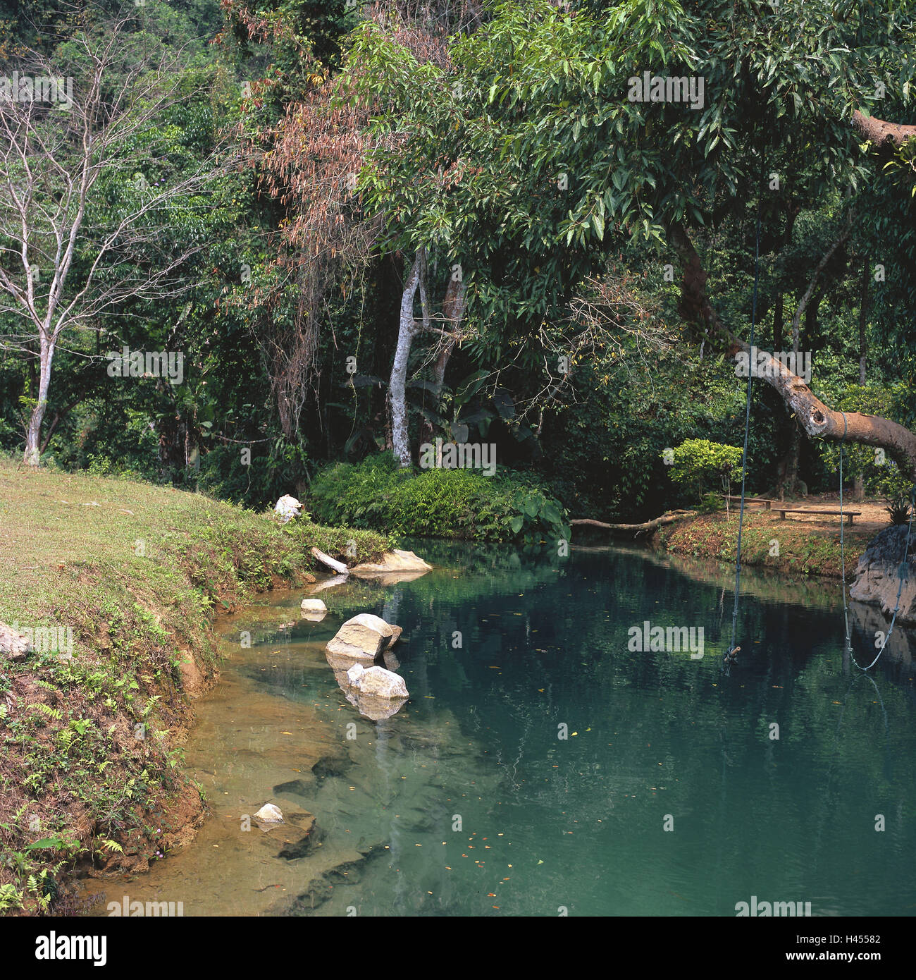 Vang Vieng, Laos, Tham Phu Kham, Lagune, Asien, Süd-Ost-Asien, Ziel, Ort von Interesse, Natur, Wasser, Pflanzen, Vegetation, draußen, menschenleer, Ruhe, Ruhe, Idylle, Einsamkeit, Stockfoto