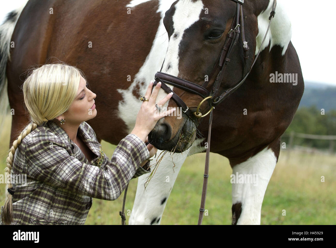 Frau, jung, Blond, Zöpfe, Pferd, Liebkosungen, RSS-Feeds, Wiese, Detail, Stockfoto