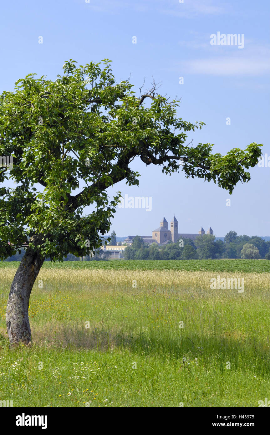 Deutschland, Bayern, Unterfranken, Schwarzach, Kreuzgang, Wiese, Baum, Kathedrale, Kloster, Architektur, Bäume, strukturieren, Christentum, Felder, Gebäude, Getreidefeld, glauben, Kirche, Kirche, Türme, Türme, vier, Religion, Ort von Interesse, Münster, Kreuzgang Pflanzen, Kultur, Hobbits, Pilgrim es platzieren, Wahrzeichen, Apfelbaum, Frühling, menschenleer, Stockfoto