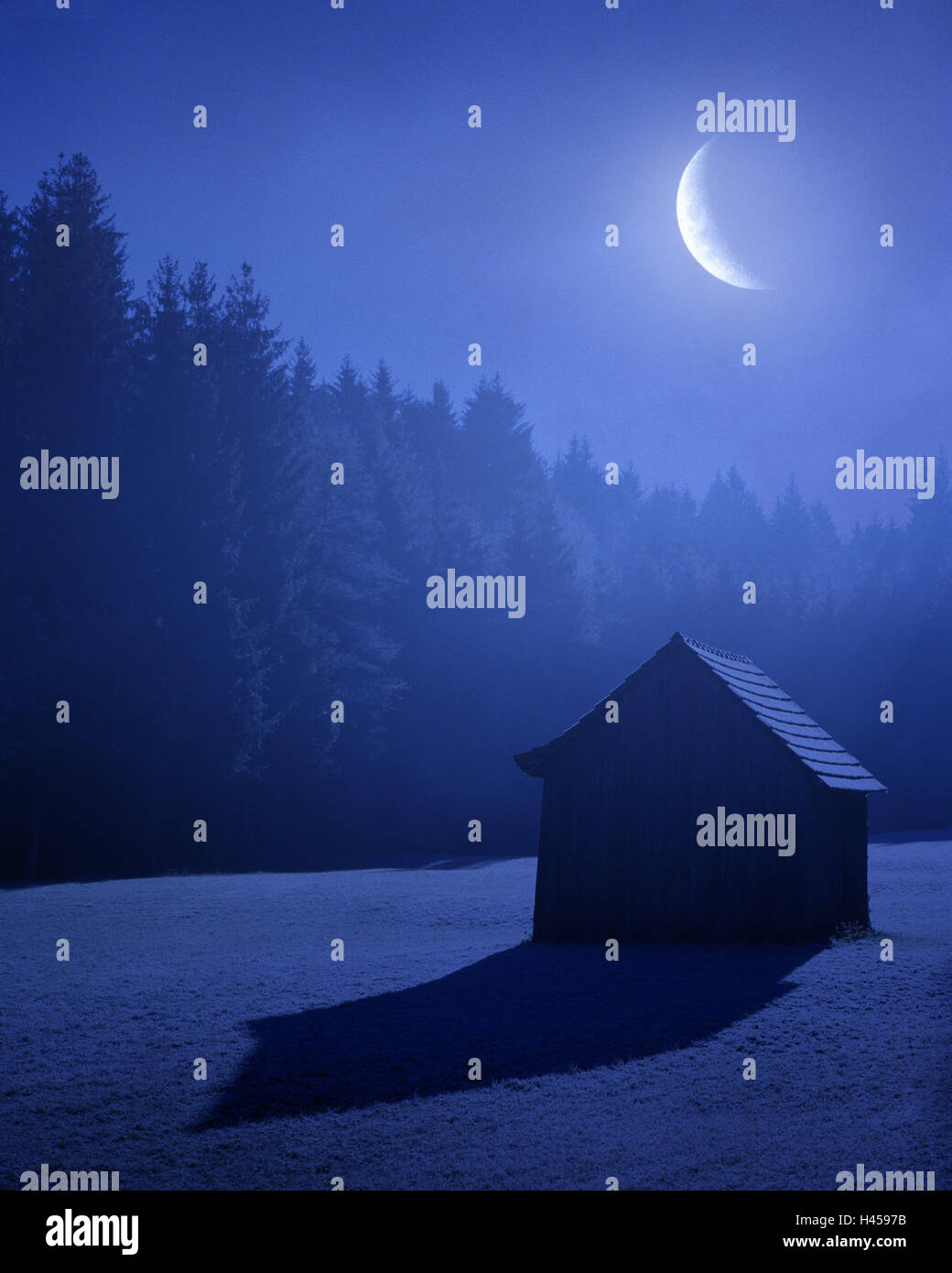 Wald, Hütte, Mondlicht, Nacht, [M] Stockfoto