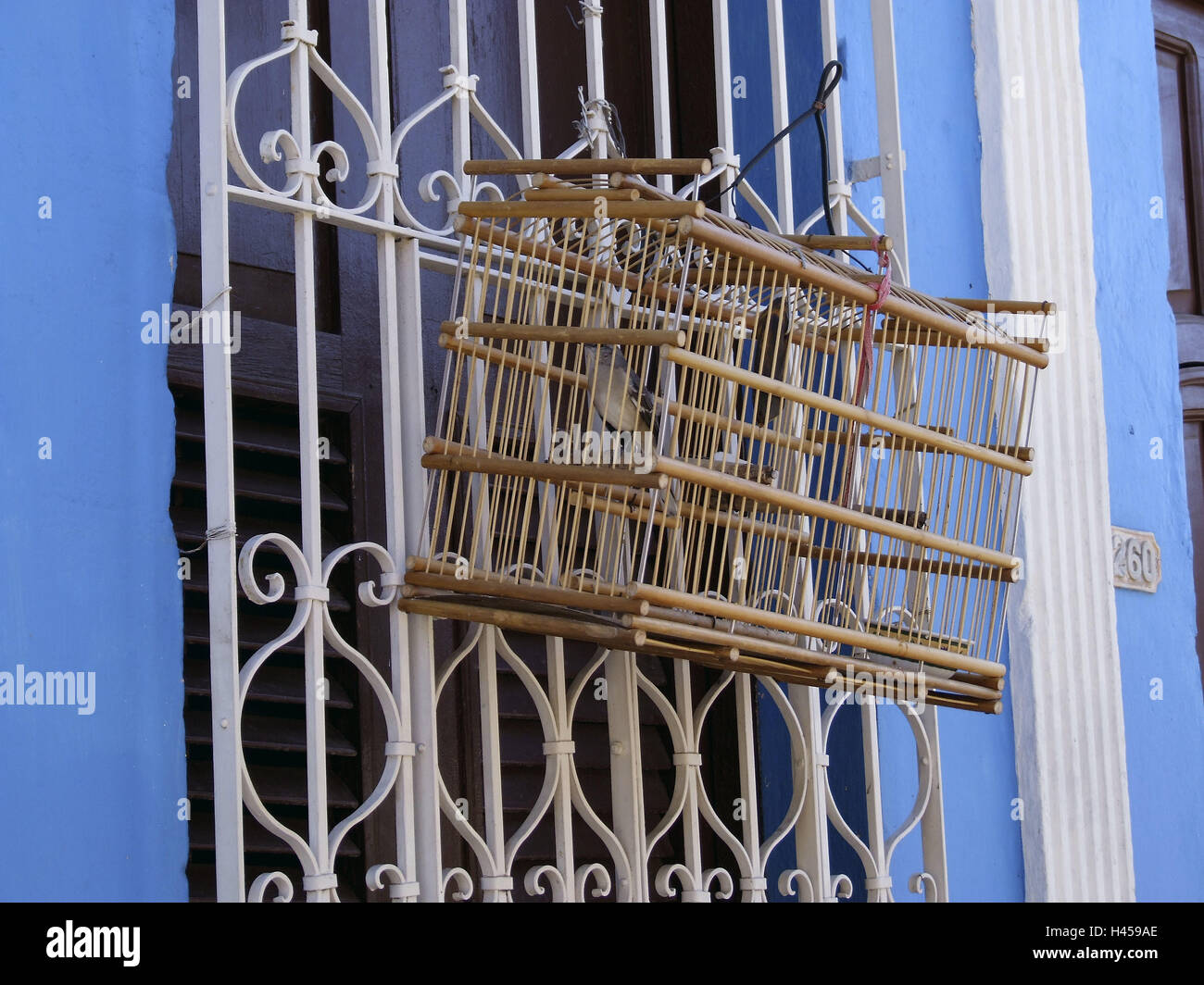 Vogel Vogelkafig Fassade Fenster Gitter Urlaub Trinidad Kuba