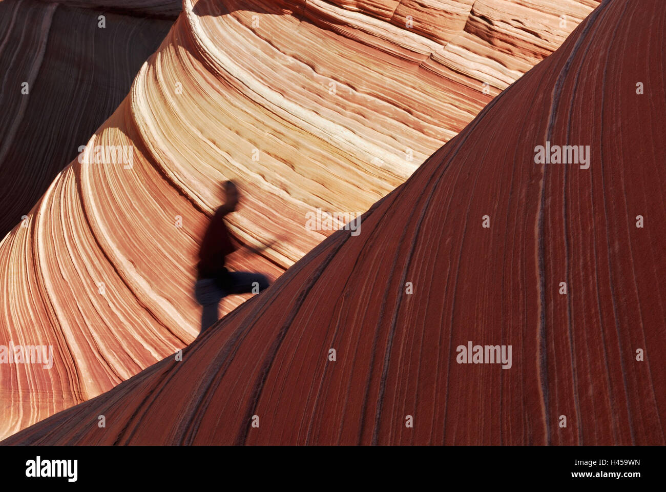 Welle, Detail, Schatten, Person, USA, Arizona, Utah, Paria Canyon, Vermillion Cliffs Wilderness, Sandstein, Stockfoto