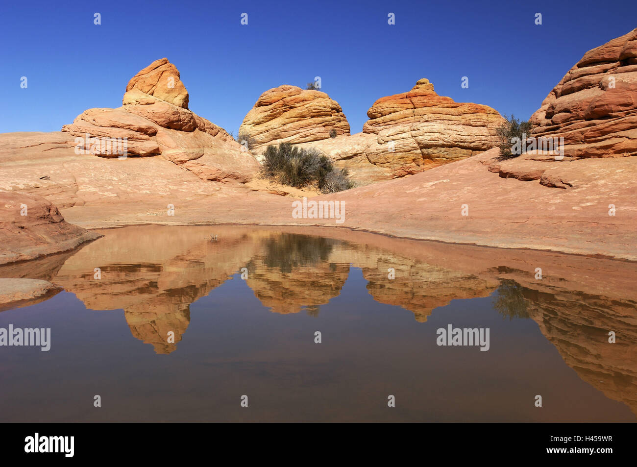 Amerika, USA, Arizona, Utah, Paria Canyon, Coyote Flunder, Vermillion Cliffs Wilderness, Galle Formationen, Wasser, See, Spiegelung, Stockfoto