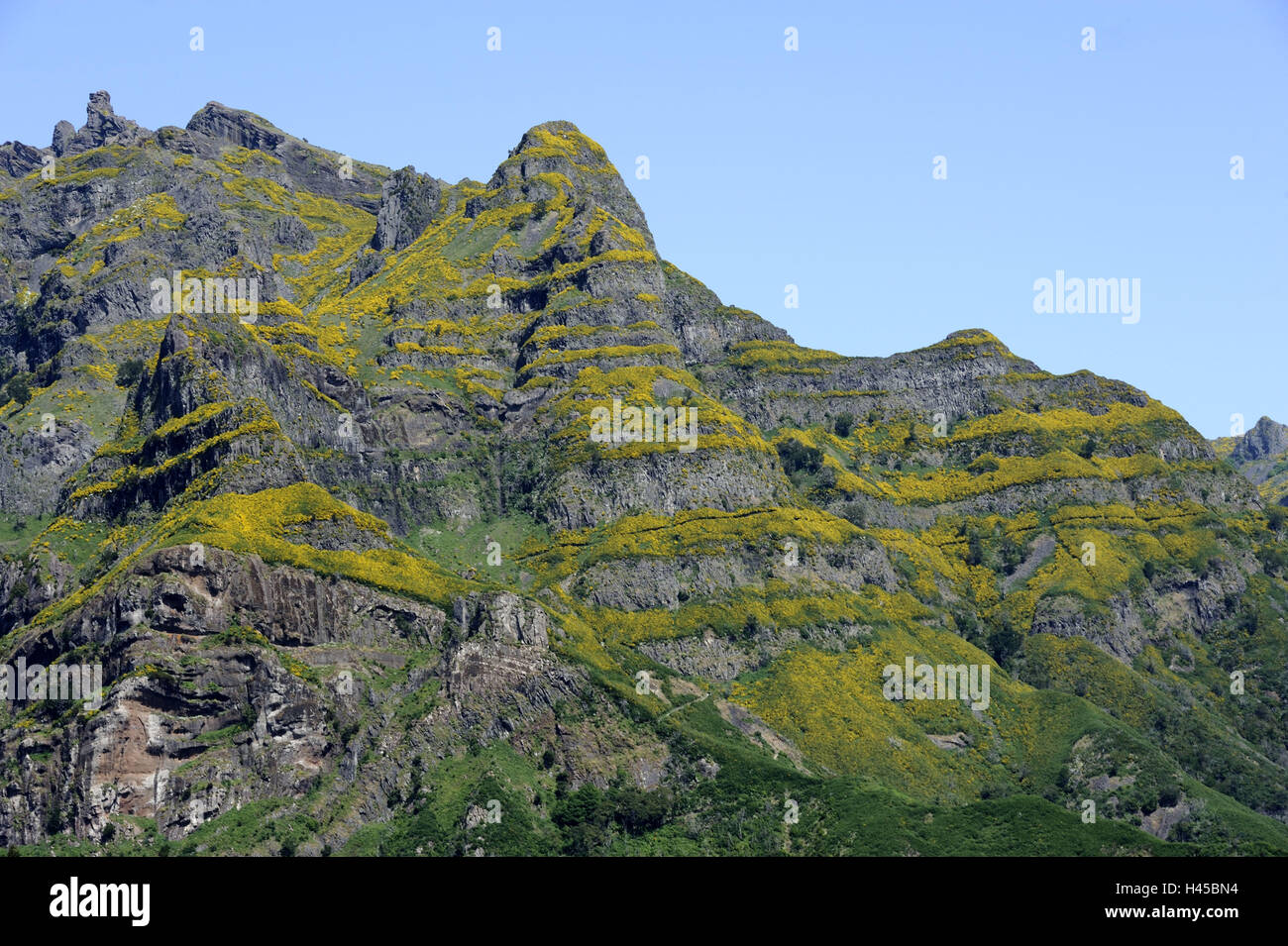Portugal, Madeira Insel, Berge, Felsen, Vegetation, Stockfoto