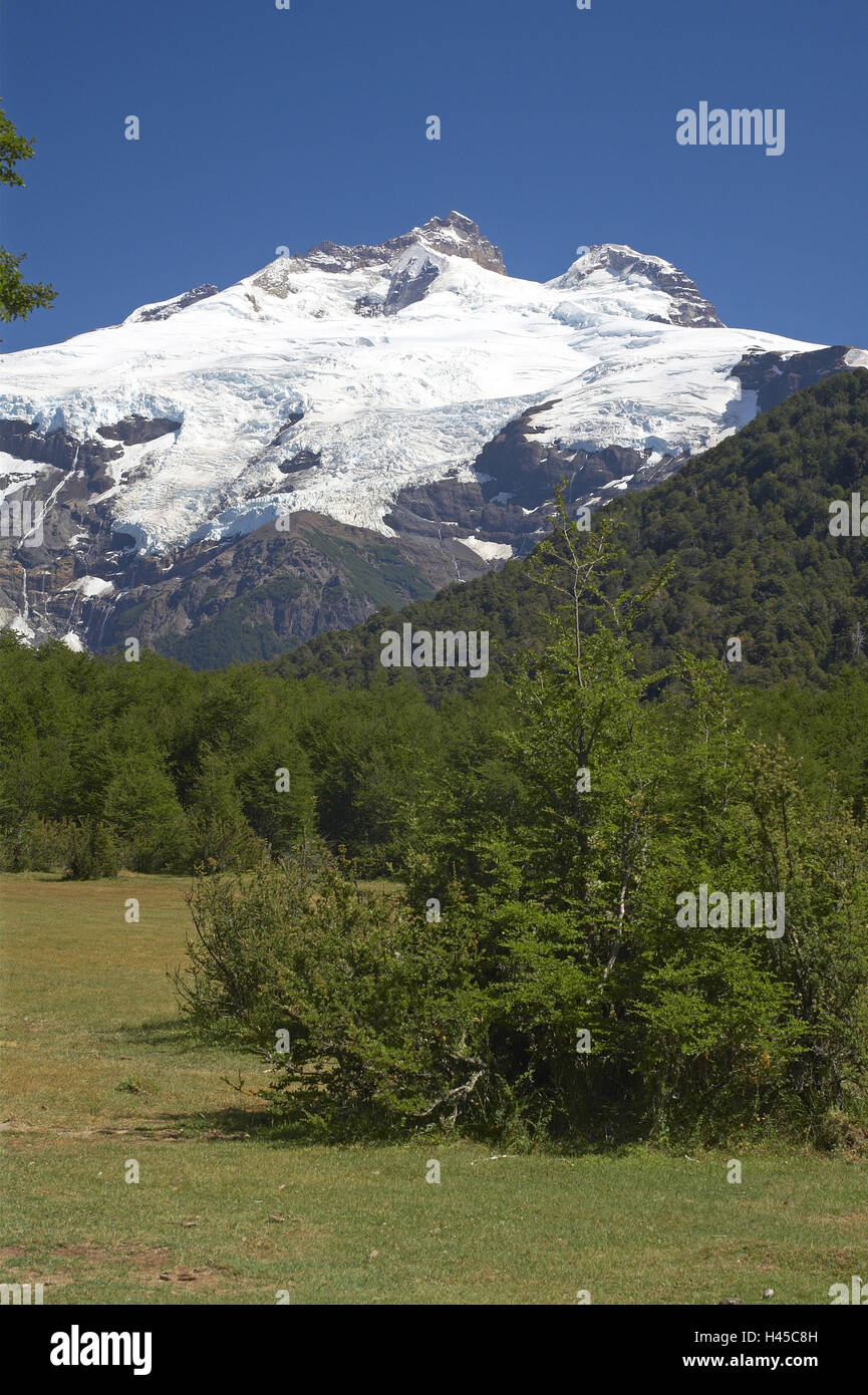 Argentinien, Patagonien, national park Nahuel Huapi, Vulkan Monte Tronador, 3554 m, Snowy, Stockfoto