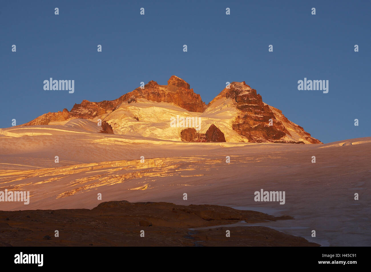 Argentinien, Patagonien, national park Nahuel Huap, Vulkan Monte Tronador, Gletscher, Gipfel, Morgenlicht, Stockfoto