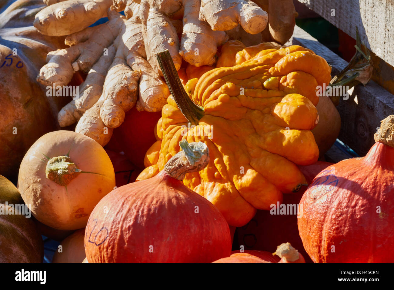 Anordnung der bunten Mini-Kürbisse und andere Gemüse auf einem lokalen Markt. Stockfoto